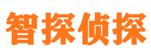 大新寻人公司